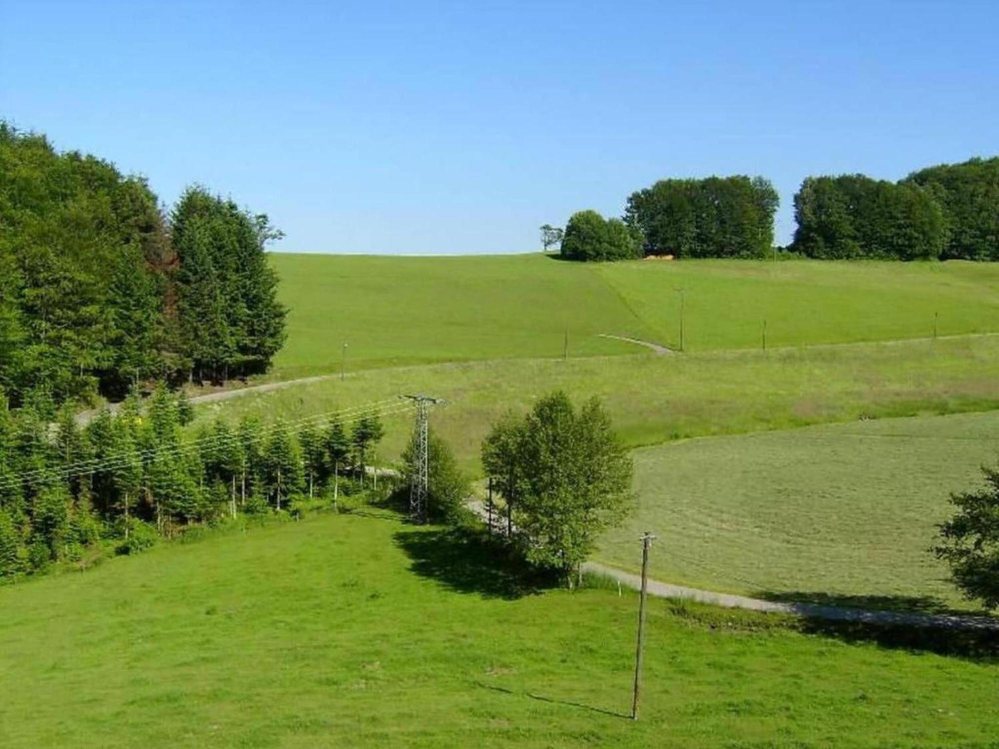 Charming Apartment In Regelsbach Near City Centre Schuttertal Exterior foto